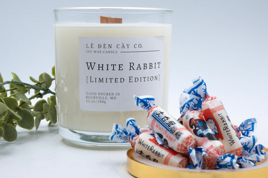 WHITE RABBIT [Limited Edition]